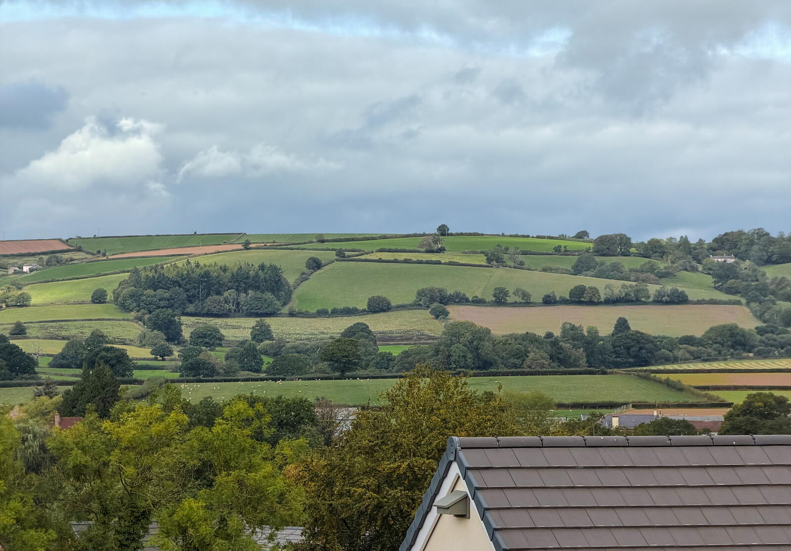 Post Hill Show Home