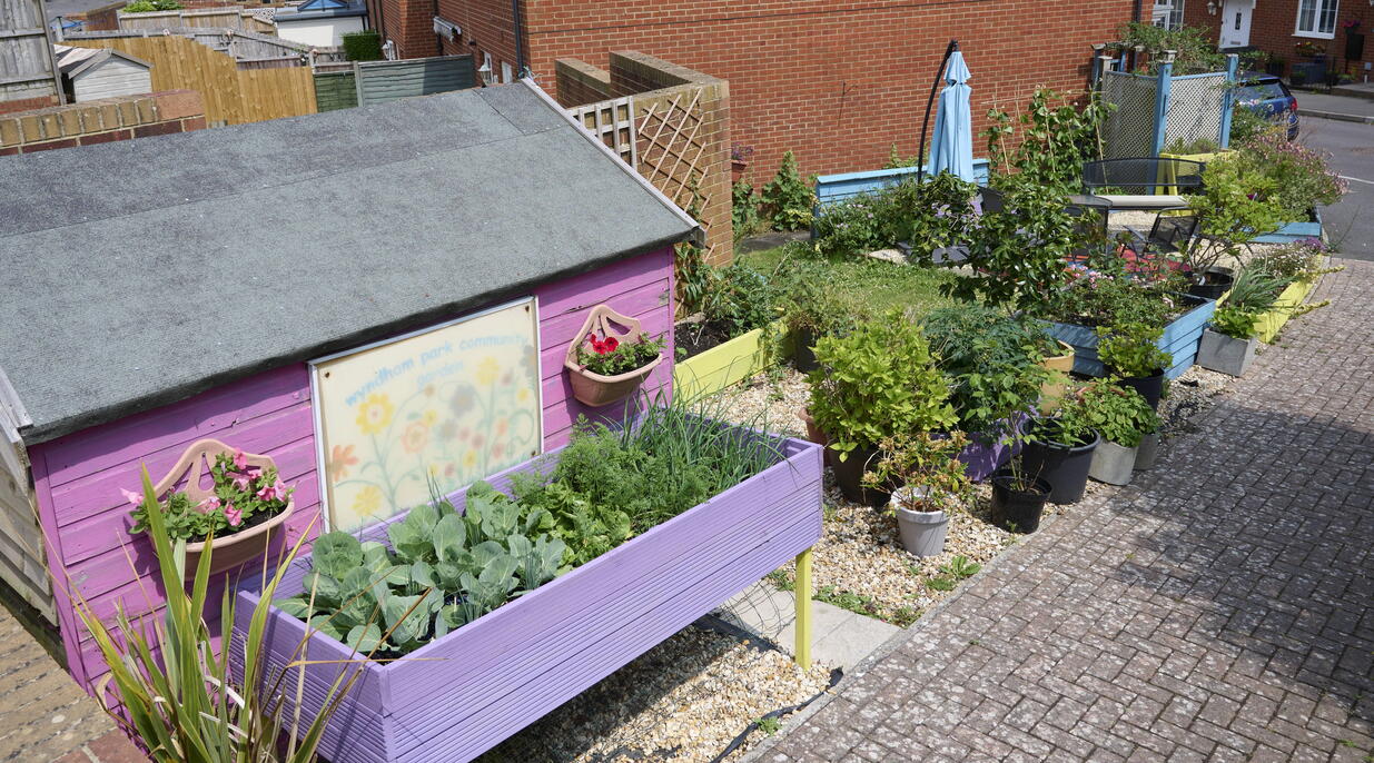 The community garden in Yeovil.