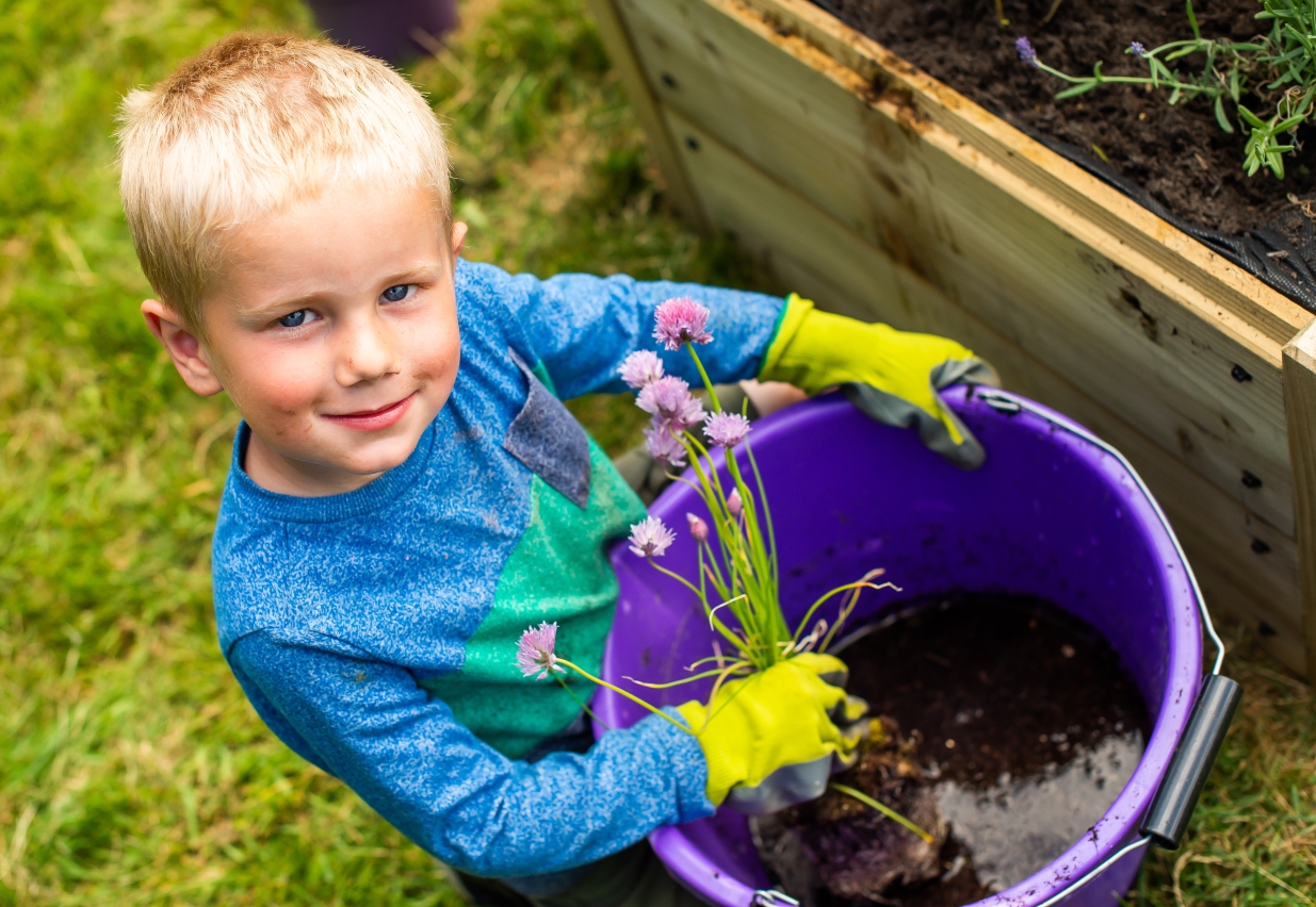Young boy planting herbs