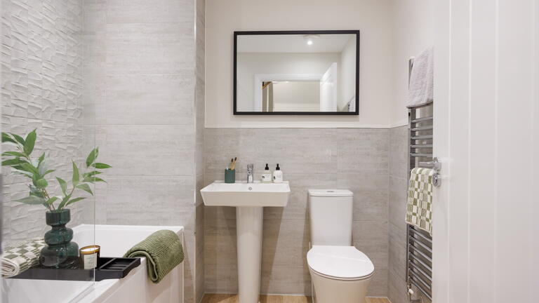Show Home