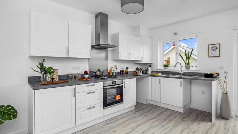 show home
