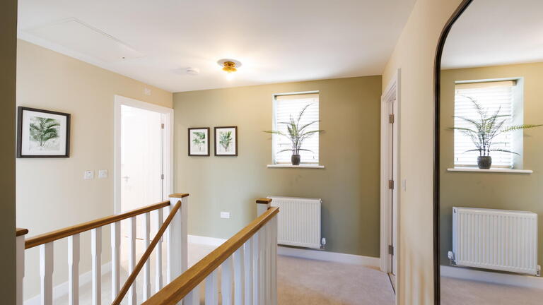 Show Home