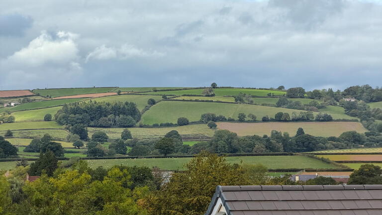 Post Hill Show Home