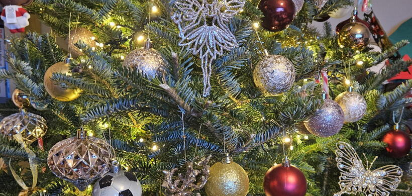 Image of Rebecca's Christmas tree at her LiveWest family home.