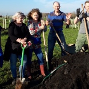 Photo of our volunteers doing gardening