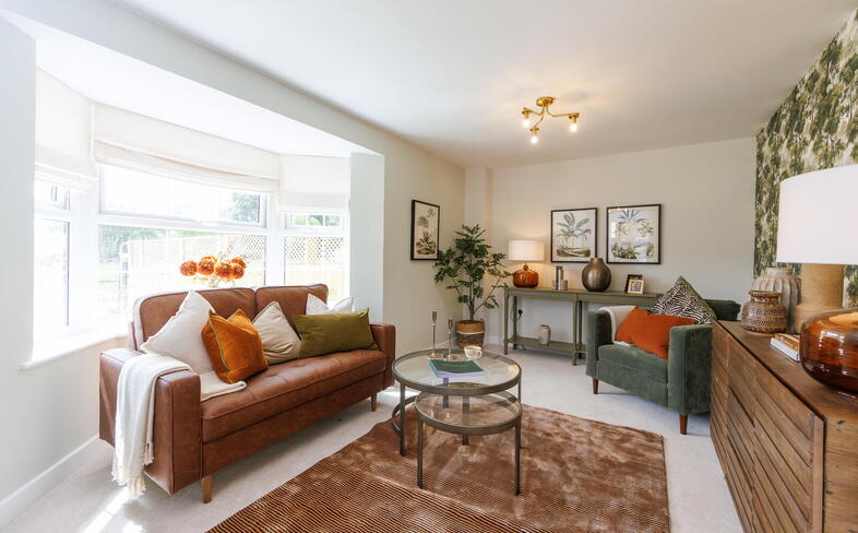 Show Home