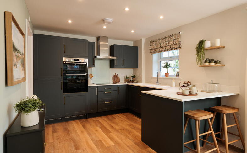 Show Home