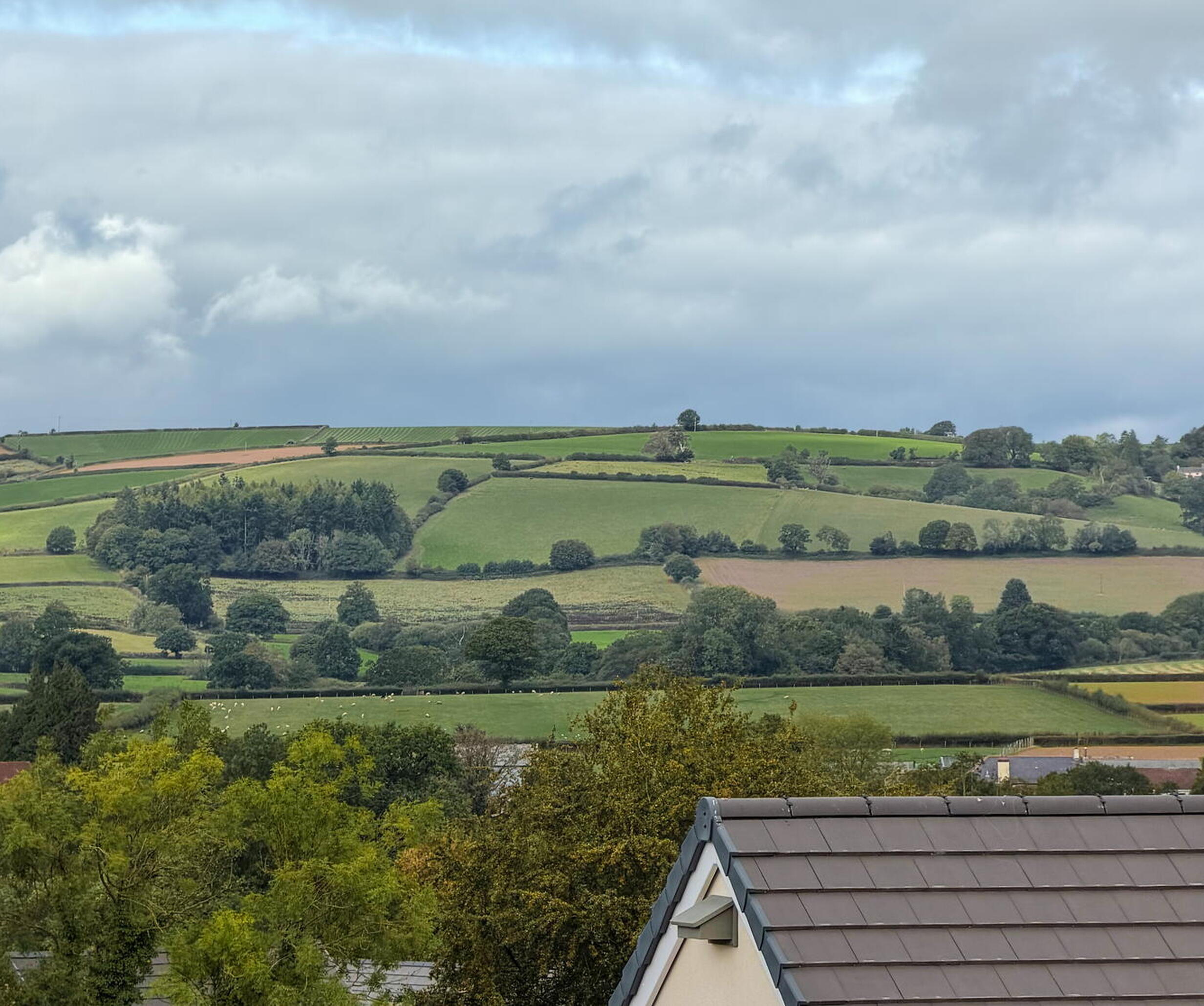 Post Hill Show Home