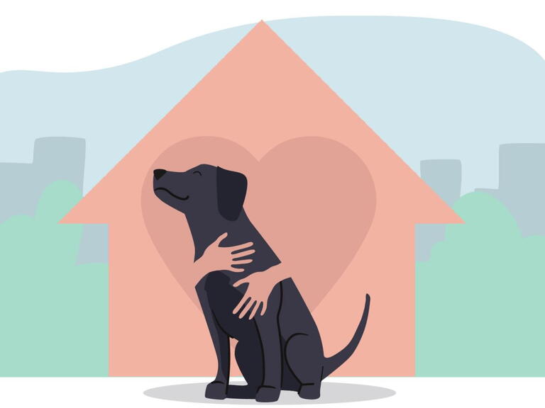 Dog and home illustration.