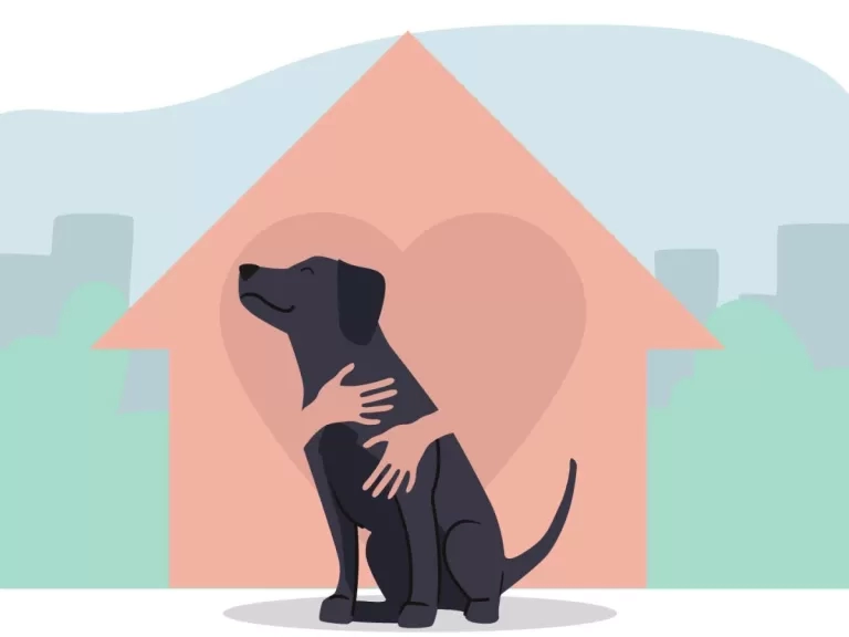 Dog and home illustration.