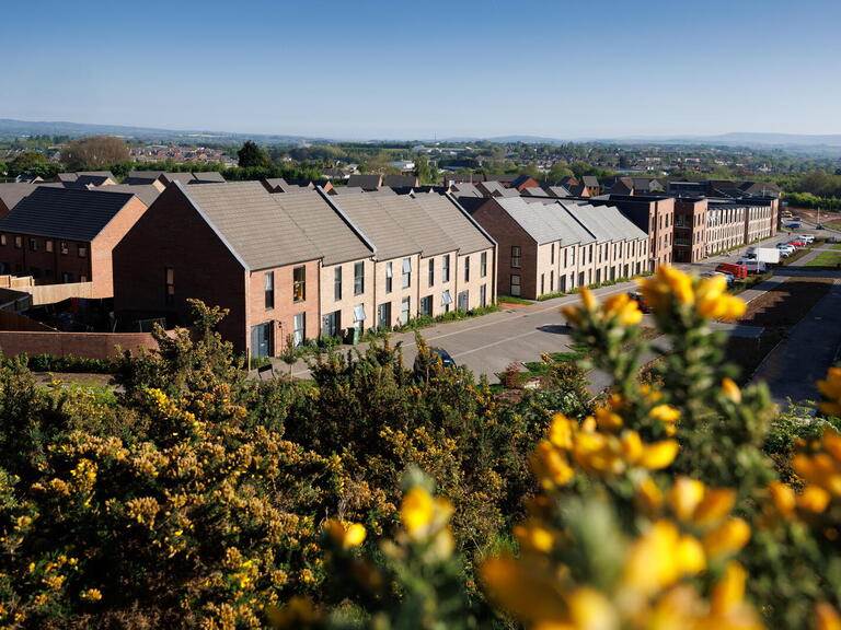Image of a row of houses with greenery and plants at the front. 