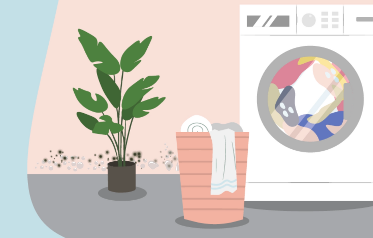 An illustration showing damp and mould on a wall behind a washing machine and a laundry basket.