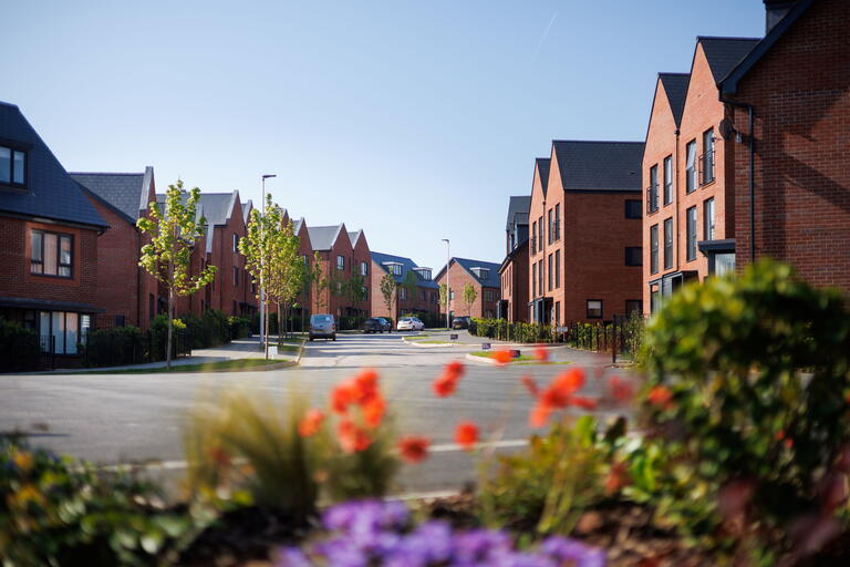Image of houses on a street with flowers at the front. 