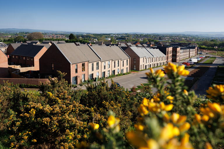 Harrington park houses with greenery in foreground
