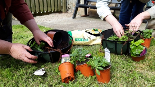 Image of people gardening