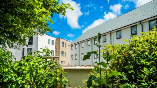 view through trees onto a sunny housing development