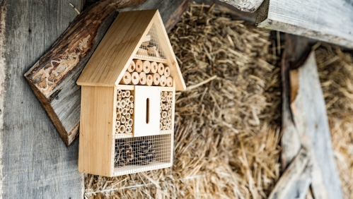 Bug hotel craft