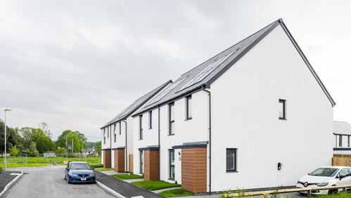 Image of LiveWest housing with greenery surrounding the houses